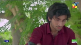 Zard Patton Ka Bunn - Episode 24 - 20th Ocotber 2024